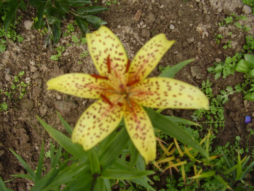 420587 (a): :1600x1200